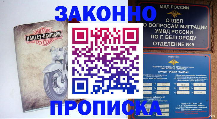 прописка для школы в Белоозёрском